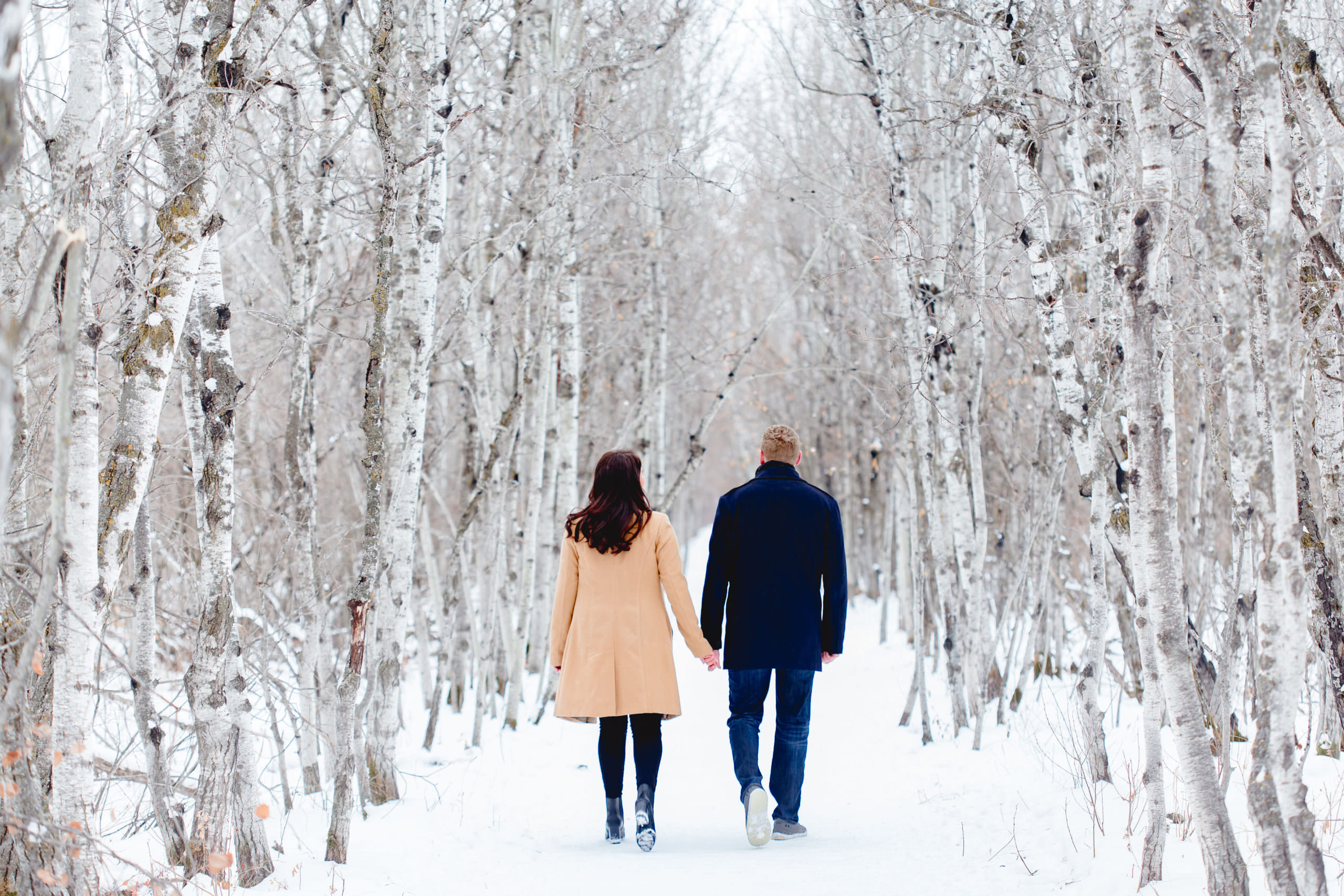 Engagement photos of a couple in a winter forest